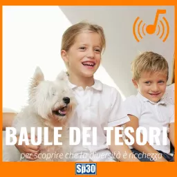 Il Baule dei Tesori - #RadioSP30 Podcast artwork
