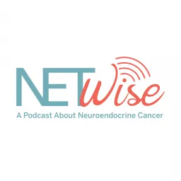 NETWise Podcast artwork