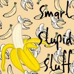 Smart Stupid Stuff Podcast artwork