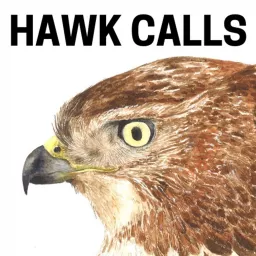 Hawk Calls Podcast artwork