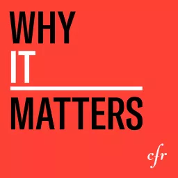 Why It Matters Podcast artwork