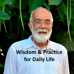 06. Wisdom & Practice for Daily Life Podcast artwork