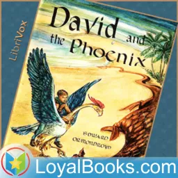 David and the Phoenix by Edward Ormondroyd