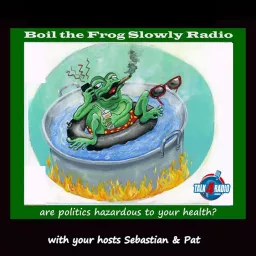 Boil The Frog Slowly Podcast artwork