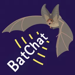 BatChat Podcast artwork