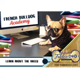 French Bulldog Academy Podcast artwork