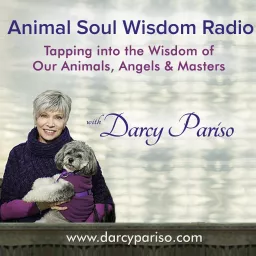 Animal Soul Wisdom Radio Podcast artwork