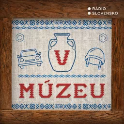 V múzeu