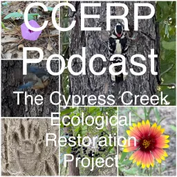 CCERP Podcast artwork