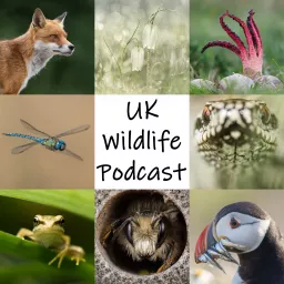 UK Wildlife Podcast artwork