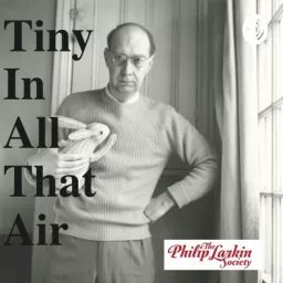 Tiny In All That Air Podcast artwork