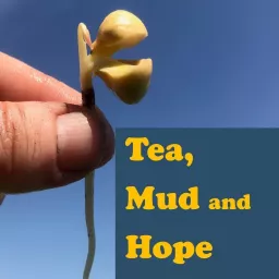 Tea, Mud and Hope Podcast artwork