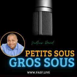 Petits sous GROS SOUS Podcast artwork