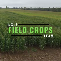 Michigan Field Crops Podcast artwork
