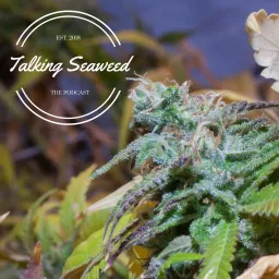 Talking Seaweed Podcast artwork