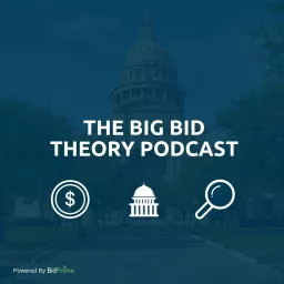 The Big Bid Theory Podcast artwork