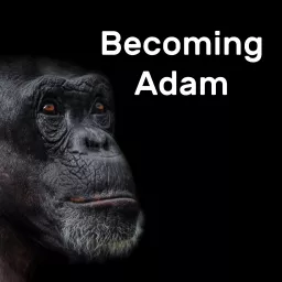 Becoming Adam Podcast – Becoming Adam, Becoming Christ artwork