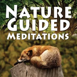 Nature Guided Meditations Podcast artwork