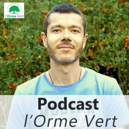 David Orme Vert Podcast artwork