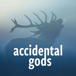 Accidental Gods Podcast artwork
