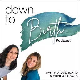 Down to Birth Podcast artwork