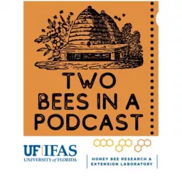 Two Bees in a Podcast artwork