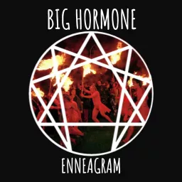 Big Hormone Enneagram Podcast artwork