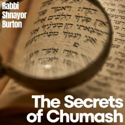 The Secrets of Chumash with Rabbi Shnayor Burton Podcast artwork