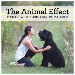The Animal Effect Podcast artwork