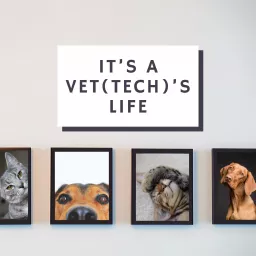 It’s a Vet(Tech)’s Life Podcast artwork