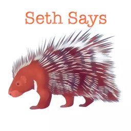 Seth Says Podcast artwork