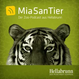 Mia san Tier - Der Zoo-Podcast aus Hellabrunn artwork