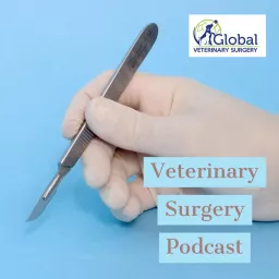Veterinary Surgery Podcast artwork