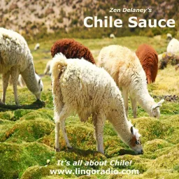 Chile Sauce Podcast artwork