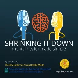 Shrinking It Down: Mental Health Made Simple