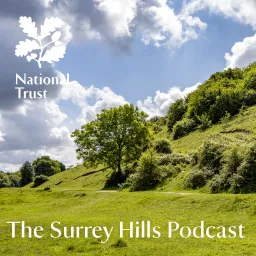 Surrey Hills Podcast