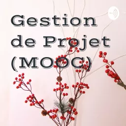 Gestion de Projet (MOOC) Podcast artwork