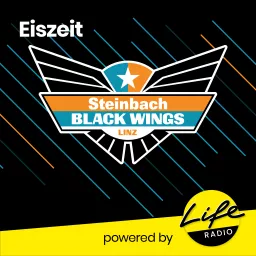 Eiszeit - Der Life Radio - Black Wings Podcast artwork