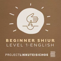 Beginner Shiur Level 1 Podcast artwork