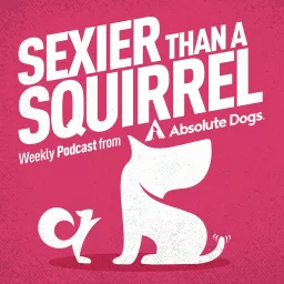 Sexier Than A Squirrel: Dog Training That Gets Real Life Results Podcast artwork