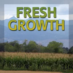 Fresh Growth Podcast artwork