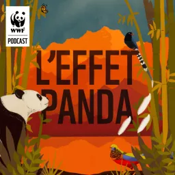 L'Effet Panda Podcast artwork