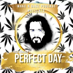 Buck Stallion's Perfect Day Podcast artwork