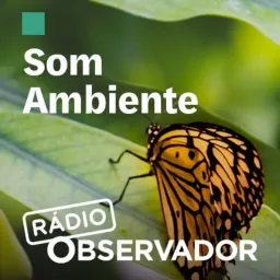 Som Ambiente Podcast artwork