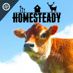 Homesteady - Stories of Living off the Land Podcast artwork