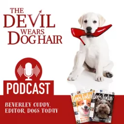 Beverley Cuddy: The Devil Wears Dog Hair’s Podcast artwork