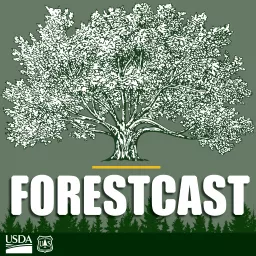 Forestcast Podcast artwork
