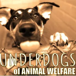 The Underdogs of Animal Welfare Podcast artwork