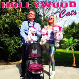 Hollywood Cats Podcast artwork