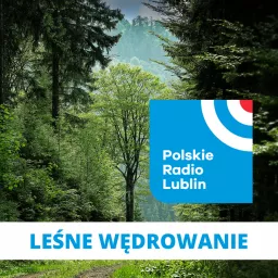 Leśne wędrowanie w Radiu Lublin Podcast artwork
